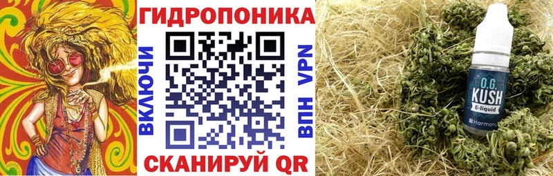 ссылка на мегу как войти  мориарти какой сайт  МАРИХУАНА индика  Разумное 